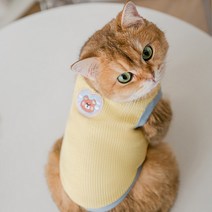 반려동물 아티펫 프리티 베어 와플 조끼, 옐로우