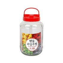 경성리빙테크 핸들 과실주병, 1개