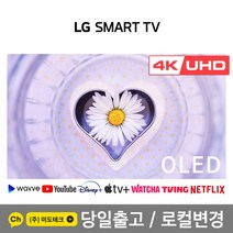 48인치oled 싸게파는 제품 중에서 다양한 선택지