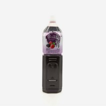 음료베이스 참다음 복분자 농축액 1.5L, 본상품선택, 1500ml
