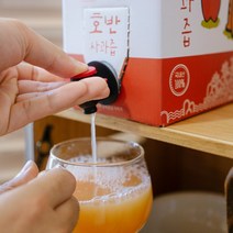 넉넉한 사람들 호랑이도 반한 사과즙 3L