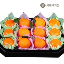 (롯데백화점)(햇살아름)팔각 제주 혼합 3종 세트4.2kg이상(한라봉천혜향레드향)