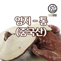 대흥한방 영지버섯(통) 중국산 5000g, 1개