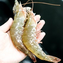 [23년 첫출하] 국산 신안 흰다리새우 활새우 생새우 왕새우 대하 1kg당 (30미내외), 3kg, 1개