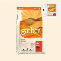 게더 고양이사료 프리에이커 치킨 1kg 닭고기 + 샘플 300g, 게더 프리에이커 고양이 1kg(2.2