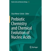 Prebiotic Chemistry and Chemical Evolution of Nucleic Acids Hardcover, Springer