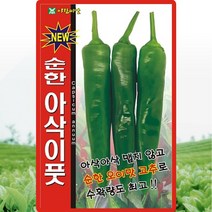순한아삭이풋 고추 씨앗 풋고추 씨 종자 50립, 단품