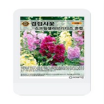 겹접시꽃 스프링셀러브리티즈 씨앗 혼합 10립 겹접시꽃 꽃씨 씨앗 대장