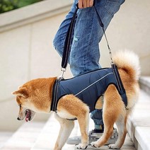 강아지 보조하네스 전신하네스 보행 보조 전신, 네이비(전신하네스)