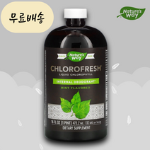 네이처스웨이 클로로필 멀베리 엽록소 액상 민트 473ml, 1개