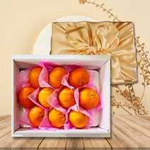 [프리미엄]제주 명품 레드향 선물세트 고당도 달콤한 레드향 설 명절 과일세트, 명품 레드향 선물세트 2호