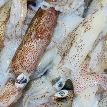 [프로수산]국산 꼴뚜기 1kg 호래기 소 중 대 급속냉동, 1kg(대), 1개