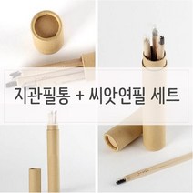 GJW28F172 n 거실 키우기쉬운식물 세트 씨앗연필 화분 인테리어식물 지관필통 거실인테리어 인테리어 싹이나는 식물인테리어 실내식물 미니 실내 펜/펜리필 방울토마토 외 4가지옵션, 도매프리 방울토마토