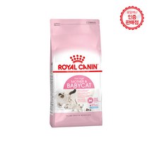 로얄캐닌 마더 앤 베이비 캣 건식사료, 1개, 10kg, 1개