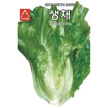 헬프팜 제일여름흑치마 상추 1500립 씨앗 제일종묘 종자