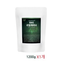 팔라티노스 가루 분말 MPB 엠피비 식물성 추출물 효능 유청단백질 곡물단백질 아르기닌 아미노 글루타민 게이너 파우더 1kg 단백질보충제 BCAA 추천, 일천이백gx1개, 1개