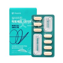 휴 살사라진 락토페린 800mg X14정 G 108860, 휴온스 살사라진 락토페린 다이