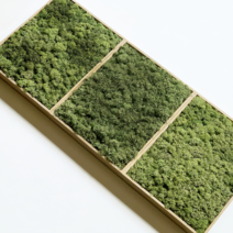 천연 이끼 스칸디아모스 액자 집들이 선물 인테리어 소품 공기정화식물 대형, 초록