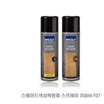 WoY 스웨이드 색상 복원제 스프레이 250ml 분사형 5종 / 옵션 배송상품 : 다크브라운 (신발/에나멜/광택제/누벅/클리너/제/크리너/가방세탁 추천)