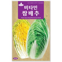 쌈채소 비타민쌈배추씨앗 1000립 배추씨앗, 1개