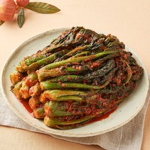 [KT알파쇼핑][반장마켓] 여수노반장 여수돌산갓김치 1.5kg 국내산 외 기타김치, 김치:갓물김치 1.5kg