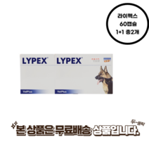 라이펙스 60캡슐 췌장효소 보충제 185974 강아지 고양이 1+1 총2개, 라이펙스  60캡슐 1+1 총2개
