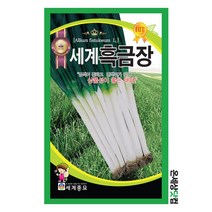 세계흑금장파 80g / 파씨앗 대파씨앗 김장채소, 1개