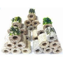 프리미엄모스6구 체리생이새우어항꾸미기 초보음성수초키우기, 프리미엄모스 갓활착