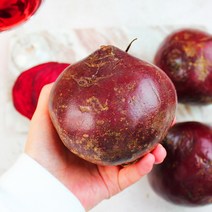 국내산 햇 레드 비트 제주 비트 알비트, 2kg