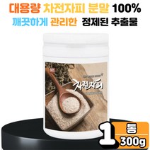 대용량 식이섬유 차전자피 차전차피 차전자 자전차피 수용성 식이섬유 섬유질 섬유소 타먹는 마시는 질겅이 질경이 씨 씨앗 껍질 자전자피 차전자피 포만감 1봉 남성 여성 장년 부모님