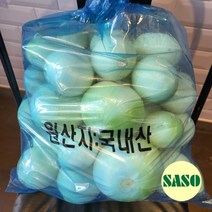 [만생종양파특대10kg] [사소장터] 깐양파 국내산 5kg 10kg 업소용
