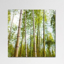 바보사랑 폼아크릴액자56CmX56Cm 부와다산의상징대나무.꾸밈, 2.재물