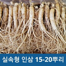 금산 국내산 인삼 실속형 5년근실속형 350g 750g (옵션선택), 350g 8-10 뿌리