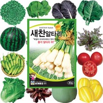 당근씨 아스파라거스 무종자 순무씨 무우씨파종 우엉씨앗 비트, 505 과일무 200립