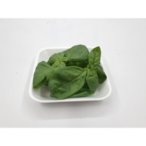 [특급] 싱싱한 생 바질 100g 500g 1kg 생 바실, 바실100g