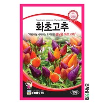 화초고추 30립 / 꽃씨 종자 화단 정원, 1개