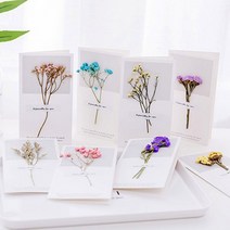 NIP409851말린꽃카드/드라이플라워 카드/프리저브드플라워 카드, 아이보리꽃