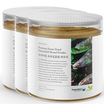 신서리티 뉴질랜드 초록입홍합 동결건조 150g x 3개 초록홍합