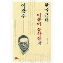 한국 근대 이중어 문학장과 이광수, 소명출판