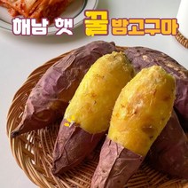 해남 화산황토 달달 햇 꿀밤고구마 3kg 5kg, 대 3kg, 1개
