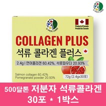 500달톤 초 저분자 피쉬 어류 콜라겐 분말 가루 펩타이드 수용성 먹는 엘라스틴 히알루론산 페르시아 터키석류 석류 농축액 원액 스틱 피부장벽 여자, 1박스