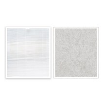 삼성 공기청정기 AX40R3081WMD 필터 CFX-G100D, 01.일반형