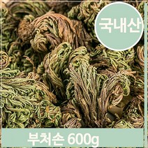 푸들 야생 채취 부처손 600g 권백 천연염색 입욕제 비식품 (7563927), 기본