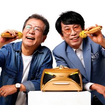 휴대용 노래방 애니싱 가라오케 노래방기기 블랙 골드 /이동식 노래반주기