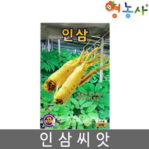 인삼씨앗 20립, 인삼, 인삼