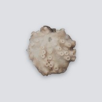 급냉 절단주꾸미 손질 쭈꾸미 주꾸미 1kg 2kg 3kg 4kg, 왕쭈꾸미 500g(1미) 베트남