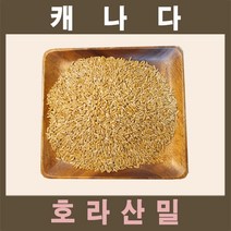 퓨어영 호라산밀 1kg 호라산 밀, 1봉