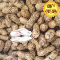 경북 예천 햇땅콩 생땅콩 피땅콩 산지직송, 1박스, 4kg