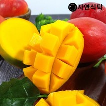 자연식탁 항공직송 고당도 페루 애플망고 4kg 대-특대과(8~12과), 단품