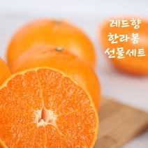 JEJU 윈터프린스 만감류 설선물세트 레드향 한라봉 3kg 5kg, 한라봉 선물용 (3kg)7~13과